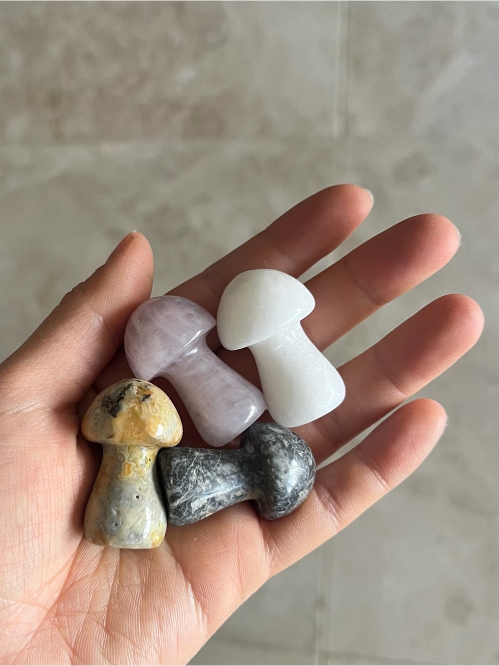 Natural Crystal Stone Set Carving Mushrooms Healing Rock Gemstone Variety